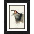 thumbnail image 1 of Audubon, John James 17x24 Black Ornate Wood Framed with Double Matting Museum Art Print Titled - Barn Swallow, 1 of 4