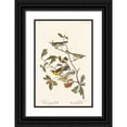 thumbnail image 1 of Audubon, John James 17x24 Black Ornate Wood Framed with Double Matting Museum Art Print Titled - Golden-winged Warbler and Cape May Warbler, 1 of 4