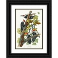 thumbnail image 1 of Audubon, John James 17x24 Black Ornate Wood Framed with Double Matting Museum Art Print Titled - Pileated Woodpecker, 1 of 4
