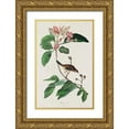 thumbnail image 1 of Audubon, John James 17x24 Gold Ornate Wood Framed with Double Matting Museum Art Print Titled - Bachmans Finch, 1 of 4