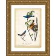 thumbnail image 1 of Audubon, John James 17x24 Gold Ornate Wood Framed with Double Matting Museum Art Print Titled - Blue Song Grosbeak, 1 of 4