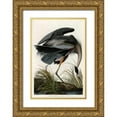 thumbnail image 1 of Audubon, John James 17x24 Gold Ornate Wood Framed with Double Matting Museum Art Print Titled - Great Blue Heron, 1 of 4