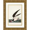 thumbnail image 1 of Audubon, John James 17x24 Gold Ornate Wood Framed with Double Matting Museum Art Print Titled - Pl 323 Black Skimmer or Shearwater, 1 of 4