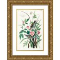 thumbnail image 1 of Audubon, John James 17x24 Gold Ornate Wood Framed with Double Matting Museum Art Print Titled - Seaside Finch, 1 of 4