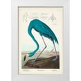 thumbnail image 1 of Audubon, John James 17x24 White Modern Wood Framed Museum Art Print Titled - Custom Pl 431 American Flamingo I, 1 of 4