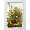 thumbnail image 1 of Audubon, John James 17x24 White Modern Wood Framed Museum Art Print Titled - Meadow Lark, 1 of 4