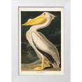 thumbnail image 1 of Audubon, John James 17x24 White Modern Wood Framed Museum Art Print Titled - Pl 311 American White Pelican, 1 of 4