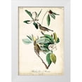 thumbnail image 1 of Audubon, John James 17x24 White Modern Wood Framed Museum Art Print Titled - UA CH Warbling Vireo, 1 of 4
