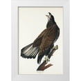 thumbnail image 1 of Audubon, John James 17x24 White Modern Wood Framed Museum Art Print Titled - White-headed Eagle, 1 of 4