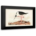 thumbnail image 1 of Audubon, John James 18x13 Black Modern Framed Museum Art Print Titled - Pl 328 Long- legged Avocet, 1 of 5