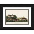 thumbnail image 1 of Audubon, John James 18x13 Black Ornate Wood Framed with Double Matting Museum Art Print Titled - Shore Lark, 1 of 4