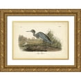 thumbnail image 1 of Audubon, John James 18x13 Gold Ornate Wood Framed with Double Matting Museum Art Print Titled - Audubons Blue Heron, 1 of 4