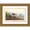 thumbnail image 1 of Audubon, John James 18x13 Gold Ornate Wood Framed with Double Matting Museum Art Print Titled - Yellow-breasted Rail, 1 of 4