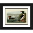 thumbnail image 1 of Audubon, John James 18x14 Black Ornate Wood Framed with Double Matting Museum Art Print Titled - Goosander, 1 of 4