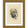 thumbnail image 1 of Audubon, John James 18x24 Gold Ornate Wood Framed with Double Matting Museum Art Print Titled - Florida Jay, 1 of 4