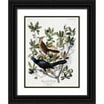 thumbnail image 1 of Audubon, John James 19x24 Black Ornate Wood Framed with Double Matting Museum Art Print Titled - Boat Tailed Grackle - Male and Female, 1 of 4
