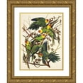 thumbnail image 1 of Audubon, John James 19x24 Gold Ornate Wood Framed with Double Matting Museum Art Print Titled - Carolina Parrot, 1 of 4