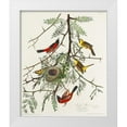 thumbnail image 1 of Audubon, John James 20x23 White Modern Wood Framed Museum Art Print Titled - Orchard Oriole, 1 of 4