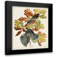 thumbnail image 1 of Audubon, John James 20x24 Black Modern Framed Museum Art Print Titled - Pl 107 Canada Jay, 1 of 5
