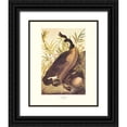thumbnail image 1 of Audubon, John James 20x24 Black Ornate Wood Framed with Double Matting Museum Art Print Titled - Canada Goose (decorative border), 1 of 4