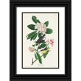 thumbnail image 1 of Audubon, John James 22x32 Black Ornate Wood Framed with Double Matting Museum Art Print Titled - Canada Warbler, 1 of 4