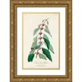 thumbnail image 1 of Audubon, John James 22x32 Gold Ornate Wood Framed with Double Matting Museum Art Print Titled - Blue-green Warbler, 1 of 4