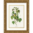 thumbnail image 1 of Audubon, John James 22x32 Gold Ornate Wood Framed with Double Matting Museum Art Print Titled - Hemlock Warbler, 1 of 4