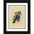 thumbnail image 1 of Audubon, John James 23x32 Black Ornate Wood Framed with Double Matting Museum Art Print Titled - Blue Jay, 1 of 4