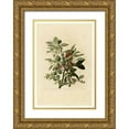 thumbnail image 1 of Audubon, John James 23x32 Gold Ornate Wood Framed with Double Matting Museum Art Print Titled - Ground Dove, 1 of 4