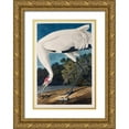 thumbnail image 1 of Audubon, John James 23x32 Gold Ornate Wood Framed with Double Matting Museum Art Print Titled - Hooping Crane, 1 of 4