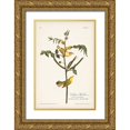 thumbnail image 1 of Audubon, John James 23x32 Gold Ornate Wood Framed with Double Matting Museum Art Print Titled - Pl. 35 Childrens Warbler, 1 of 4