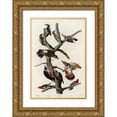 thumbnail image 1 of Audubon, John James 23x32 Gold Ornate Wood Framed with Double Matting Museum Art Print Titled - Woodpeckers, 1 of 4