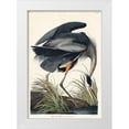 thumbnail image 1 of Audubon, John James 23x32 White Modern Wood Framed Museum Art Print Titled - Great blue Heron, 1 of 4
