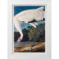 thumbnail image 1 of Audubon, John James 23x32 White Modern Wood Framed Museum Art Print Titled - Hooping Crane, 1 of 4