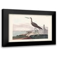 thumbnail image 1 of Audubon, John James 24x17 Black Modern Framed Museum Art Print Titled - Pl. 269 Greenshank, 1 of 5