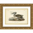 thumbnail image 1 of Audubon, John James 24x17 Gold Ornate Wood Framed with Double Matting Museum Art Print Titled - Audubons Brown Pelican, 1 of 4