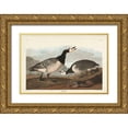 thumbnail image 1 of Audubon, John James 24x17 Gold Ornate Wood Framed with Double Matting Museum Art Print Titled - Pl 296 Barnacle Goose, 1 of 4