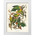 thumbnail image 1 of Audubon, John James 25x32 White Modern Wood Framed Museum Art Print Titled - Carolina Parrot, 1 of 4