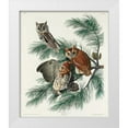 thumbnail image 1 of Audubon, John James 26x30 White Modern Wood Framed Museum Art Print Titled - Little Screech Owl, 1 of 4