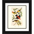 thumbnail image 1 of Audubon, John James 26x32 Black Ornate Wood Framed with Double Matting Museum Art Print Titled - Louisiana Tanager, Scarlet Tanager (decorative border), 1 of 4