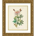 thumbnail image 1 of Audubon, John James 26x32 Gold Ornate Wood Framed with Double Matting Museum Art Print Titled - Pl 379 Ruff-necked Hummingbird, 1 of 4