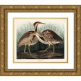 thumbnail image 1 of Audubon, John James 31x26 Gold Ornate Wood Framed with Double Matting Museum Art Print Titled - American Bittern, 1 of 4