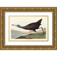 thumbnail image 1 of Audubon, John James 32x22 Gold Ornate Wood Framed with Double Matting Museum Art Print Titled - Scolopaceus Courlan, 1 of 4