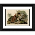 thumbnail image 1 of Audubon, John James 32x23 Black Ornate Wood Framed with Double Matting Museum Art Print Titled - Ruffed Grouse, 1 of 4