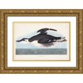 thumbnail image 1 of Audubon, John James 32x23 Gold Ornate Wood Framed with Double Matting Museum Art Print Titled - Pl 245 Uria Brunnichi, 1 of 4