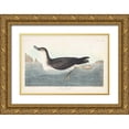 thumbnail image 1 of Audubon, John James 32x23 Gold Ornate Wood Framed with Double Matting Museum Art Print Titled - Pl 295 Manks Shearwater, 1 of 4