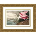 thumbnail image 1 of Audubon, John James 32x23 Gold Ornate Wood Framed with Double Matting Museum Art Print Titled - Roseate Spoonbill , 1 of 4