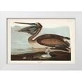 thumbnail image 1 of Audubon, John James 32x23 White Modern Wood Framed Museum Art Print Titled - Pl 421 Brown Pelican, 1 of 4
