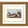 thumbnail image 1 of Audubon, John James 32x26 Gold Ornate Wood Framed with Double Matting Museum Art Print Titled - Eared Grebe (decorative border), 1 of 4