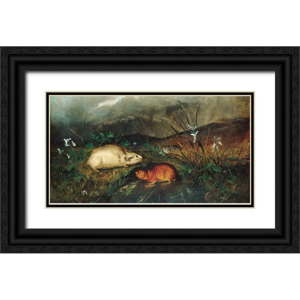 John Woodhouse Audubon、「WOOD RAT」 John Woodhouse Audubon | Amon